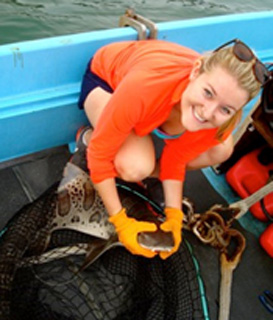 Leopard shark navigation and social behavior research assistantship with Scripps Institution of Oceanography, San Diego, CA (2013-2014)