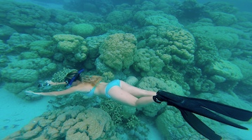 Ant Atoll Snorkeling